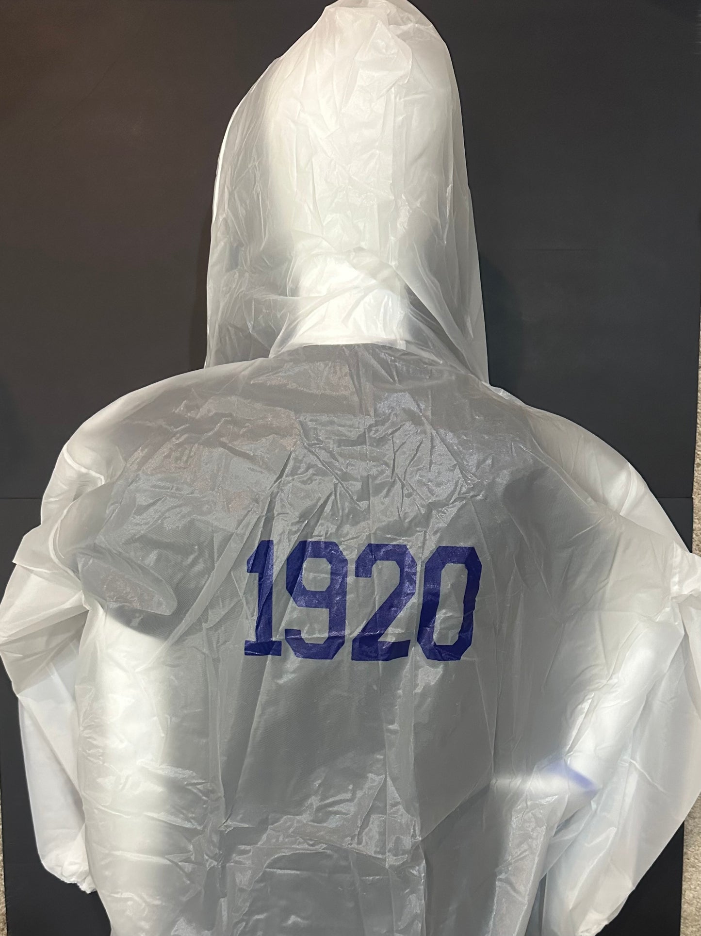 Zeta Phi Beta Rain Poncho